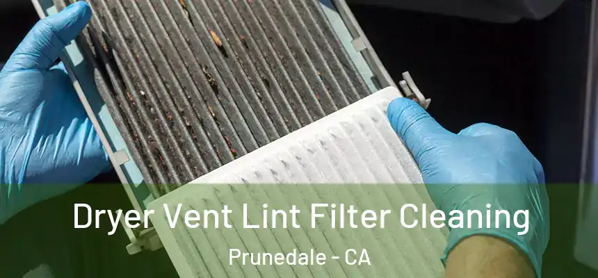  Dryer Vent Lint Filter Cleaning Prunedale - CA