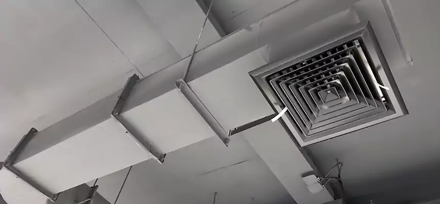 Our Pest Removal From Ducts Services in Prunedale, CA