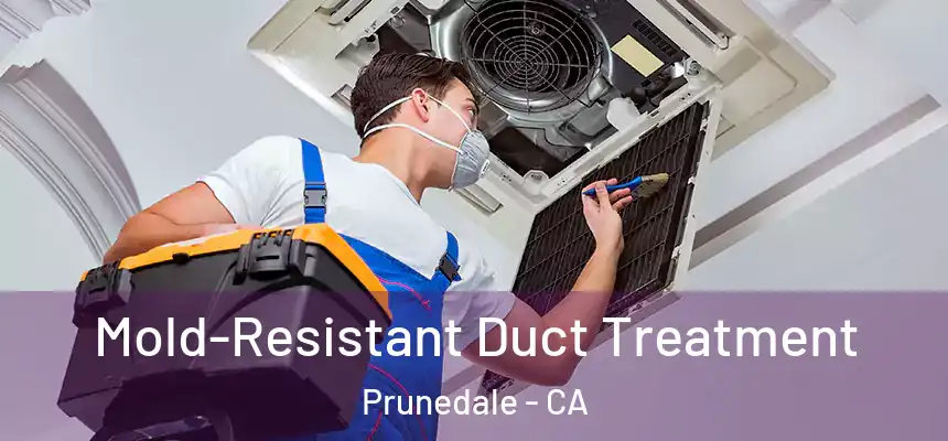  Mold-Resistant Duct Treatment Prunedale - CA