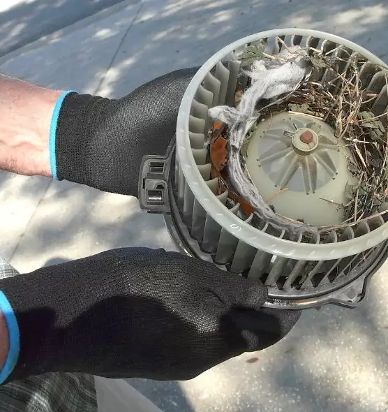 About Air Duct Mice Removal in Prunedale, CA