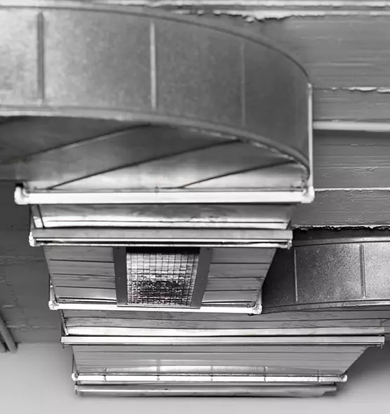 Professional Air Duct Pest Removal in Prunedale, CA