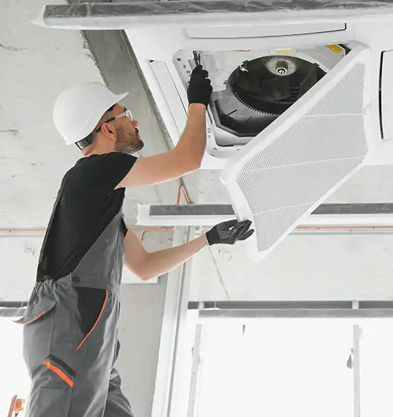 About Air Duct Rodent Removal in Prunedale, CA