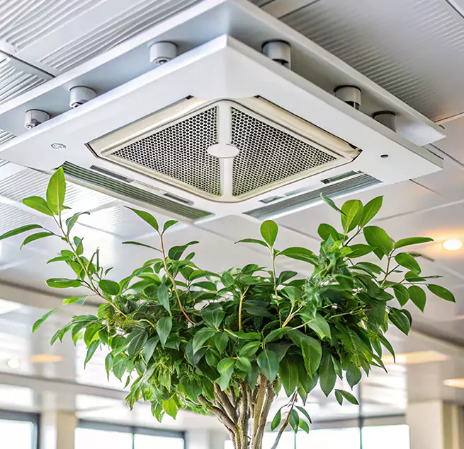 Why Homeowners & Businesses Trust Us in Prunedale, CA?