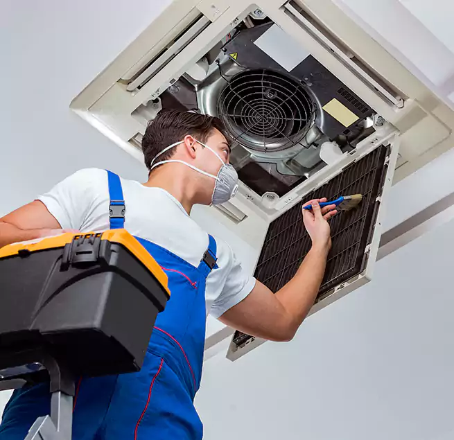 Why Homeowners & Businesses Trust Us in Prunedale, CA?