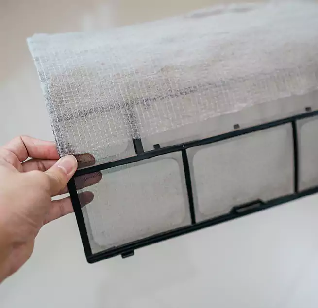 Why Homeowners & Businesses Trust Us in Prunedale, CA?