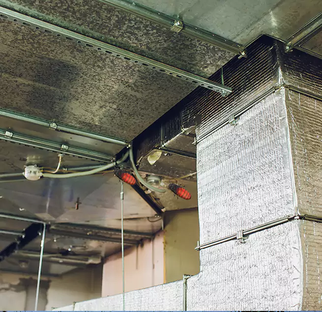 Why Homeowners & Businesses Trust Us Prunedale, CA?