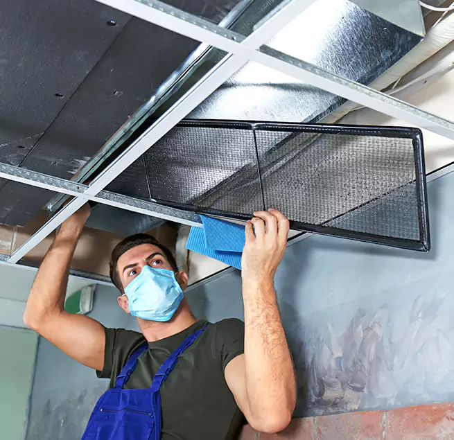  Why Homeowners Businesses Trust Us  in Prunedale, CA?